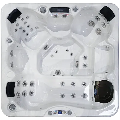 Avalon EC-849L hot tubs for sale in Lakewood